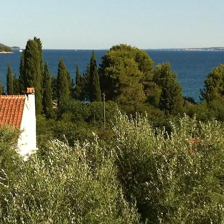 Apartment Luani